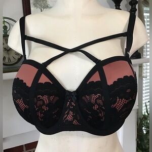 Torrid Curve push-up strapless bra.NWT